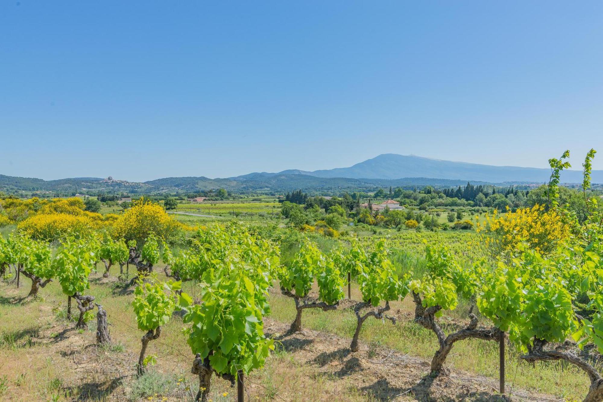 Domaine Purviti Villa Beaumes-de-Venise Eksteriør billede